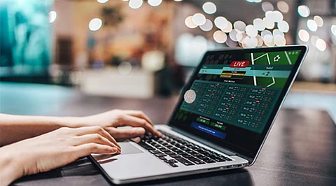 New Zealand Online Sports Betting Sites That Offer the Biggest Bonuses