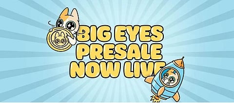 Big Eyes Coin Could Be the Next Big Coin to Follow the Success of Dogecoin and Internet Computer