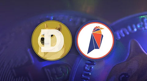 Dogecoin (DOGE) and Ravencoin (RVN) Bubble is Bursting Just as The Hideaways (HDWY) is Setting Off