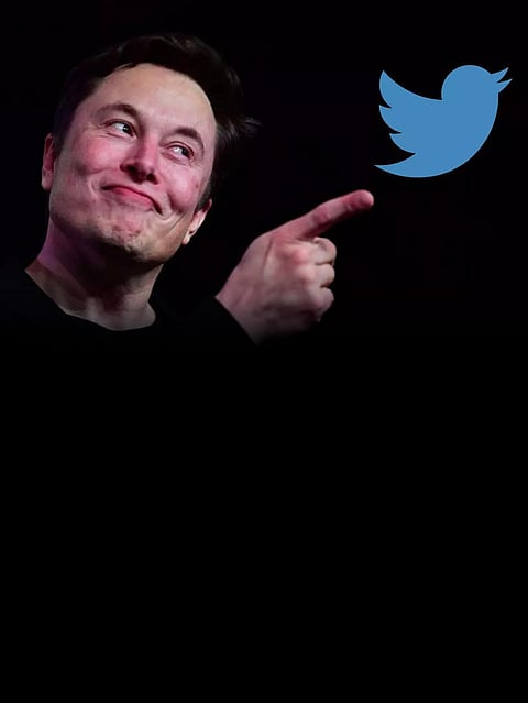 Let that Sink in Says the Comedy Master Elon Musk!