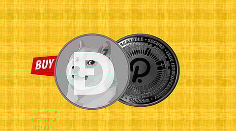 Make Crypto Money Work For You By Buying Into Moshnake, Dogecoin, and Polkadot