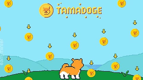Is Shiba Inu dead?- This New Meme Coin has Attracted Whale Investors for Potential Gains