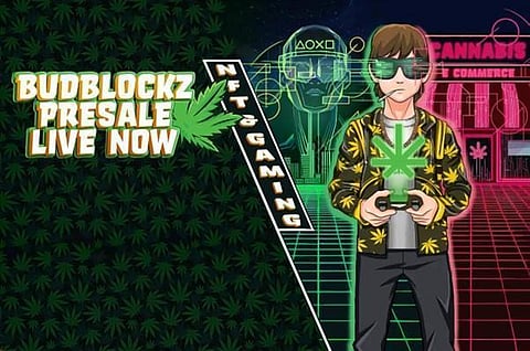 Budblockz CEO Luke Looks to “smoke” Shiba Inu and Apecoin