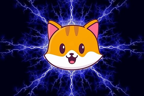 Only Dogecoin and Shiba Inu? Why Is Nobody Talking About This Coin?