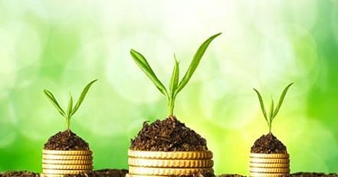 Why this New Cryptocurrency Release in 2022 is Breaking New Ground in Green Investment