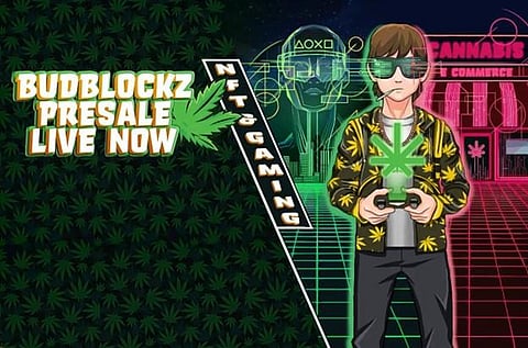 Budblockz (BLUNT) Adoption Should Surpass Algorand and Flow in 2023