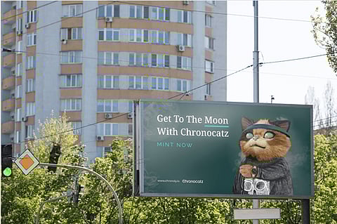 Chronocatz NFTs Can Provide Shelter from Market Storms