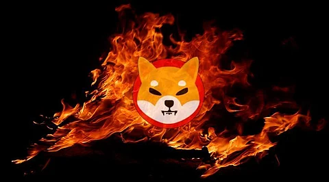 Want a crypto fortune from $500? Forget Shiba Inu