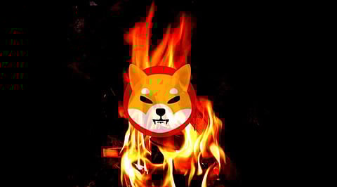 Shiba Inu Lead Dev Says Burning SHIB is ‘Low Priority’