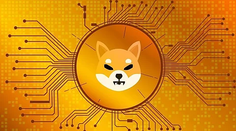 Shiba Inu Price Prediction – Will SHIB Reach $1 any Time Soon?