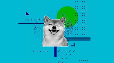 Shiba Inu Price Prediction for 2030: Will the Coin Reach US$1?