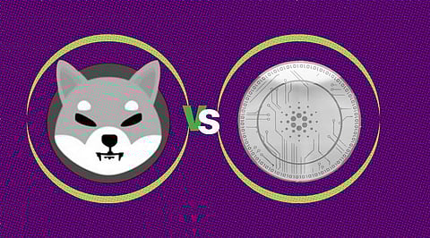 Shiba Inu vs Cardano: Which Cryptocurrency will Reach US$1 Before 2023 Ends?