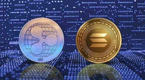 Solana, Ripple, and Moshnake Are on the Rise – Cryptocurrency to Buy Now