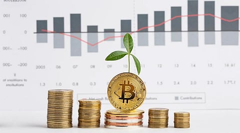 10 Reasons to Back this Eco-Friendly Crypto Over Top Cryptos in 2022