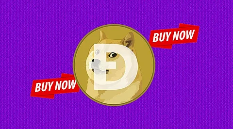 Where to Buy Dogecoin – Beginner’s Guide