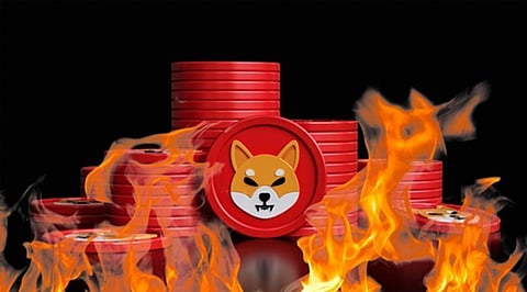 Shiba Inu on track for lowest burn in 18 months