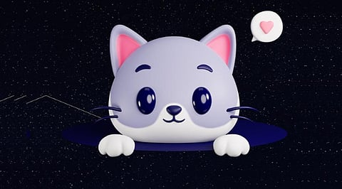 Cryptocurrency Analysis Toon Finance Rocket Past Dogecoin Shiba Inu Coin 2022