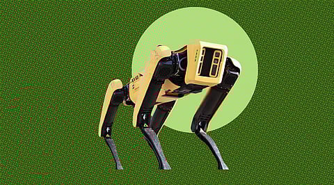 A Robotic Dog that can Go into Unknown Environments and Adapt