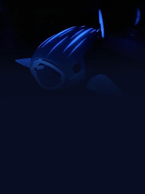 An Open-Sourced Robot Fish Can Help Reduce the Amount of Plastic Pollution from Water