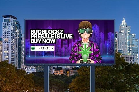 Can BudBlockz Achieve the Same Recognition as Doge and Ape in the NFT Marketplace?