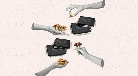 Computer Chips are Getting a Bacterial Updo with Mushroom Skins