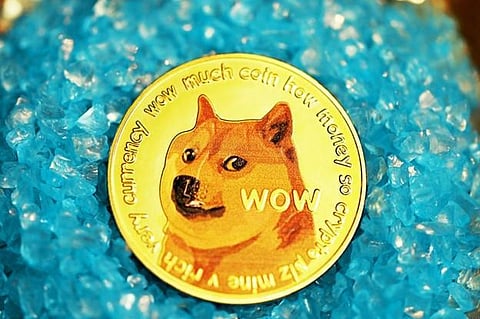 Lost money in Dogecoin? EverGrow gives you % of trading volume