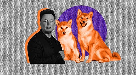 Dogecoin Bleeds and SHIB Follows! The Elon Factor Steadily Fades