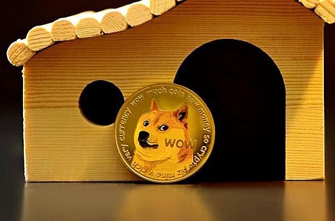 Lost Money on Dogecoin? New Token Gives ROI in Bear Market