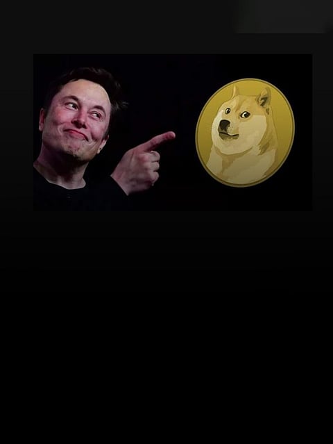 Elon Musk might be the reason why Dogecoin soars by 12% in the past 24 hours