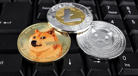 Elon Musk’s Dogecoin Struggles To Remain Stable, Same As Shiba Inu, While Bitgert Upsurges