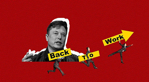 Elon Really Messed Up Twitter Layoffs! Pleads Fired Employees to Come Back