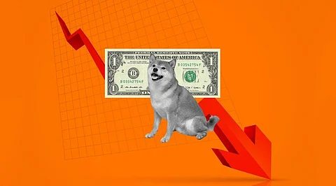 Forget Shiba Inu Reaching $1! Back these 10 Cryptocurrencies