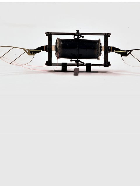 Now We Even Have a Drone Which is a Stick-Built Flying Device Made Out of Sticks