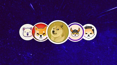 Memecoins are Shooting Stars in the November Crypto Market