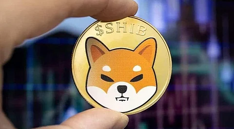 Is Shiba Inu Dead? These Cryptos On Presales Better Long-term Investment