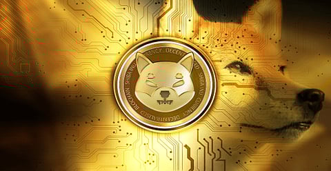 Will Runfy Rocket Past Shiba Inu and Basic Attention Token Upon Launch?