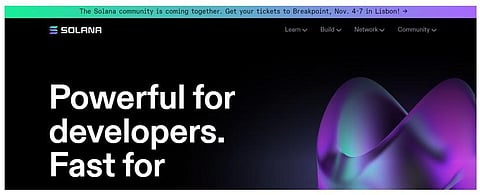 Here’s What You Should Know About Solana, Polkadot, and Rocketize Before Purchasing Them