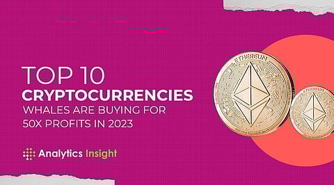 Top 10 Cryptocurrencies Whales are Buying for 50x Profits in 2023