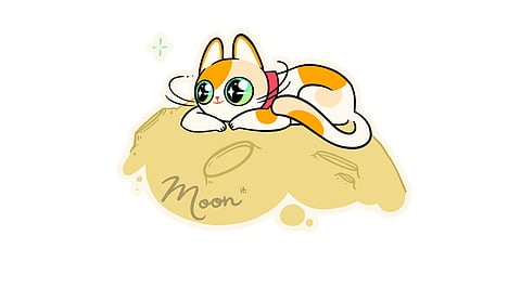 Top Five Cryptocurrencies To Look Forward To In 2023: BNB, Monero, And Big Eyes Coin