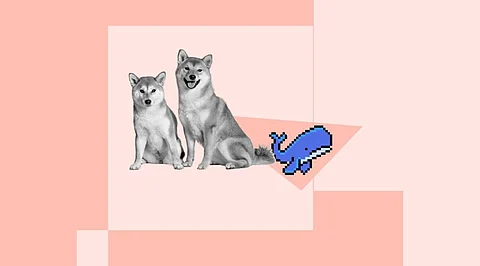 Is Shiba Inu Ready to Walk the Talk? SHIB Whales will Dictate