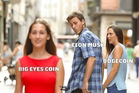 Big Eyes Coin Vs Dogecoin: Best Meme Purchase Option Ahead Of The Yuletide