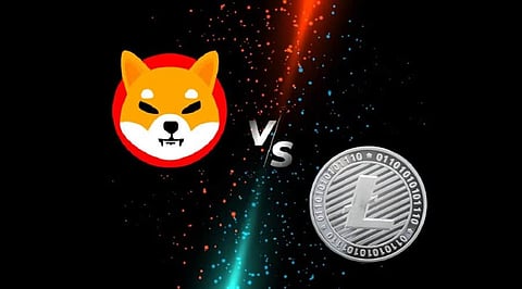 Shiba Inu vs Litecoin: Which High-Reward Crypto is a Safe Bet this Christmas?