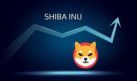 Is Shiba Inu Back? INU Sees Price Pump But Are These Better Cryptos to Buy in 2023?
