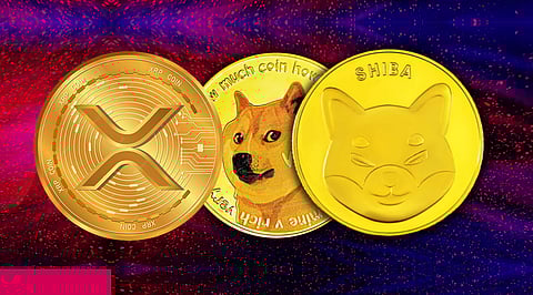 Top 10 Cryptocurrencies for January 29 2023; Bitcoin At US$23K