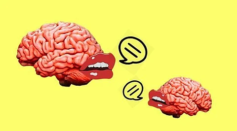 Know Your Conversational AI to its Barest Elements