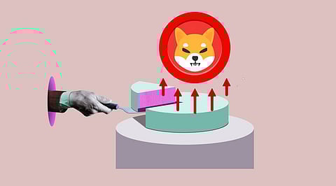 Shibarium L2 Debut, Post Shiba Inu’s 42% Market Share Gain