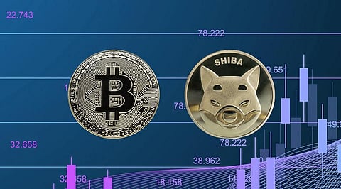 Top 10 Cryptocurrencies on January 18 2023: Bitcoin at $21K & SHIB Jumps Too