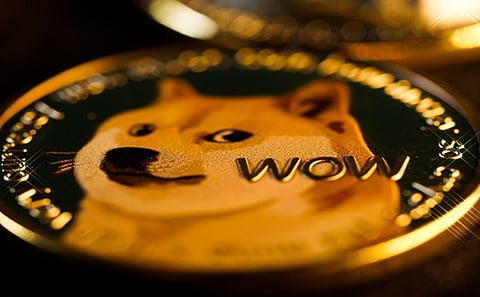 Shiba Inu, DogeCoin, and Big Eyes Coin Attract Abundant Capital Over the First Month of The Year