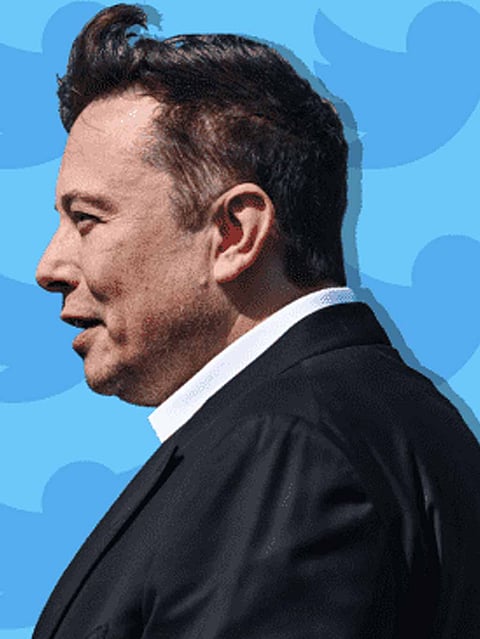 ChatGPT Answers if Twitter CEO Elon Musk is a Genius