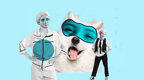 10 Well-Known Memes That Were Marketed as NFTs